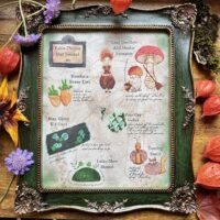 8x10 Fantasy Botanical Prints